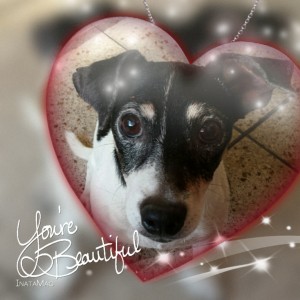 Abschied nehmen, Aby unser Herz